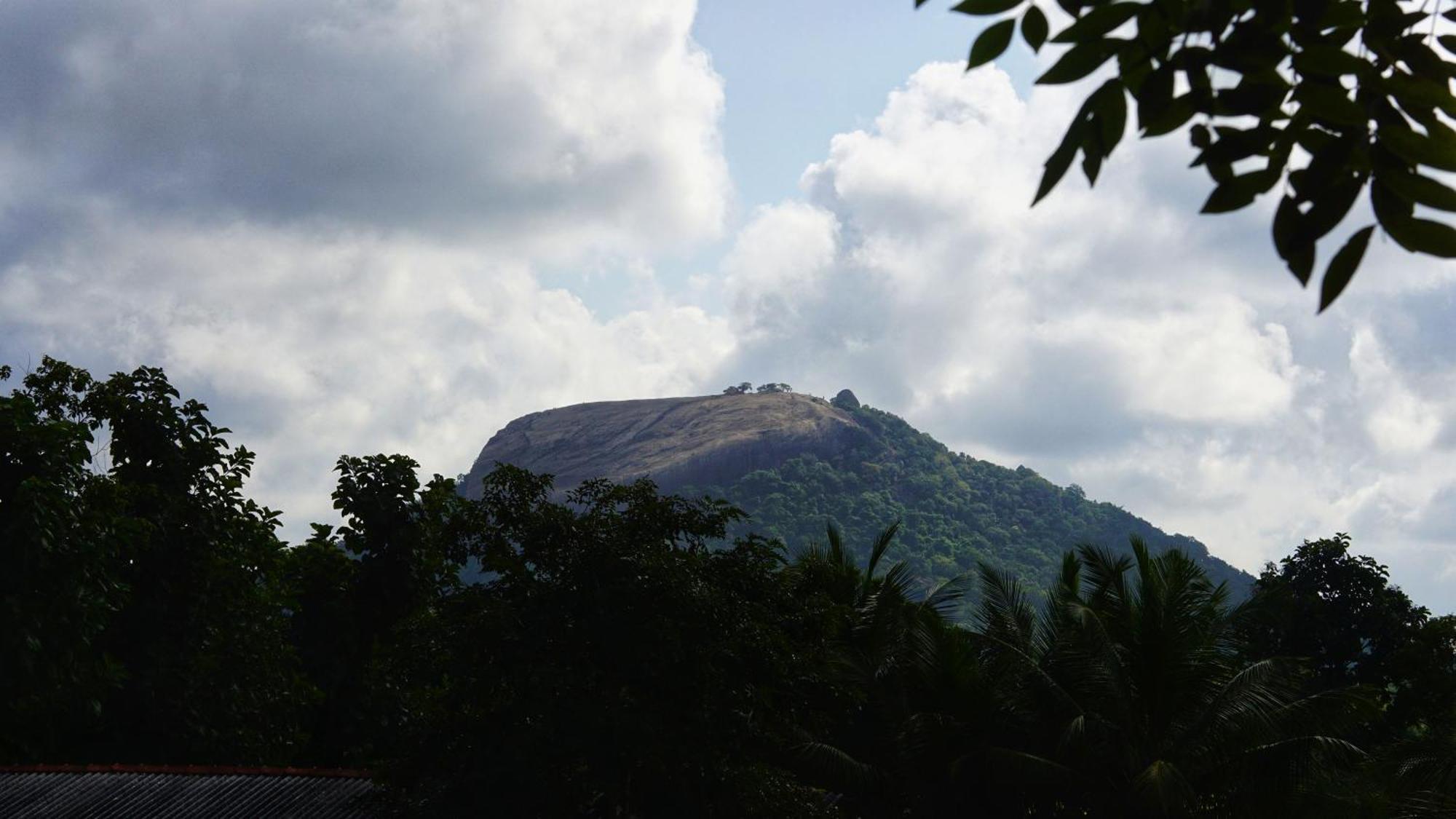 Sigiri Dilu Villa Sigiriya Bagian luar foto