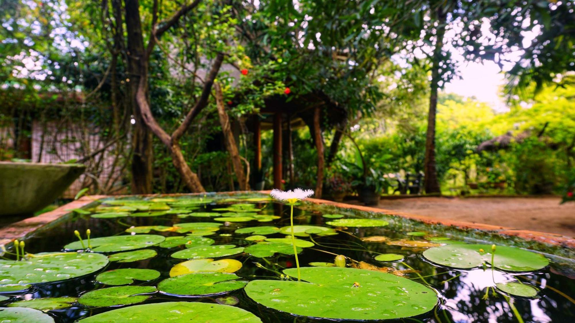 Sigiri Dilu Villa Sigiriya Bagian luar foto